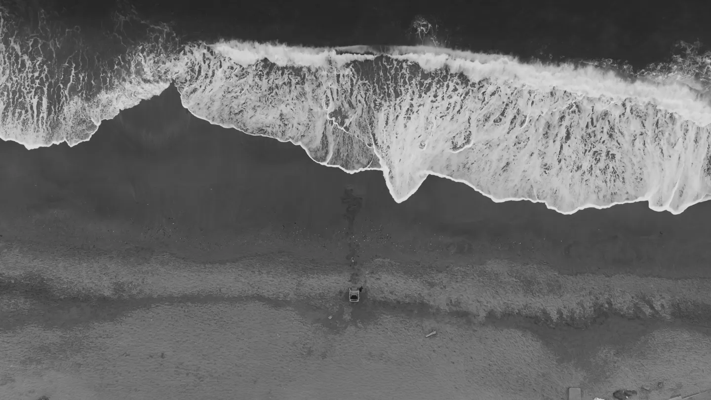 Beyond the Sea — immagine 3
