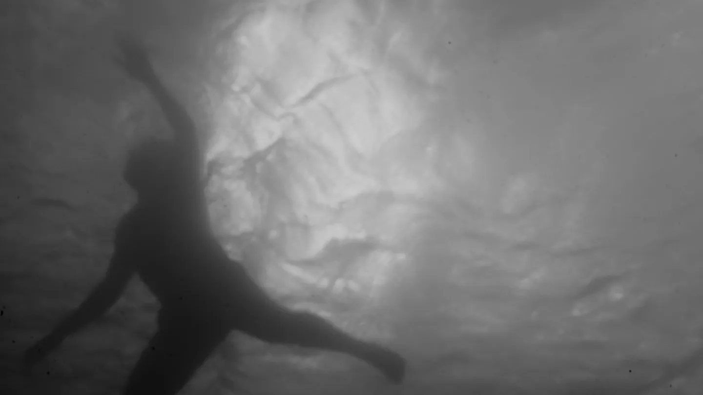 Beyond the Sea — immagine 6