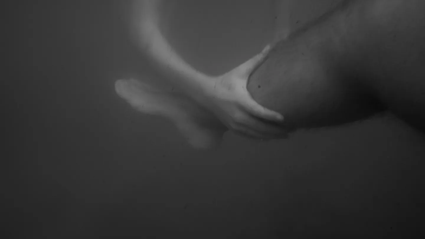Beyond the Sea — immagine 7