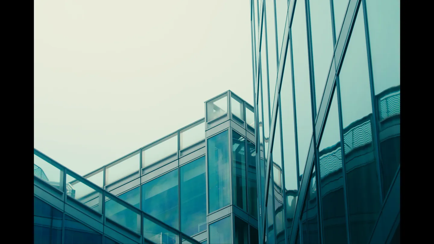 Domino – STOP STOP STOP — immagine 4