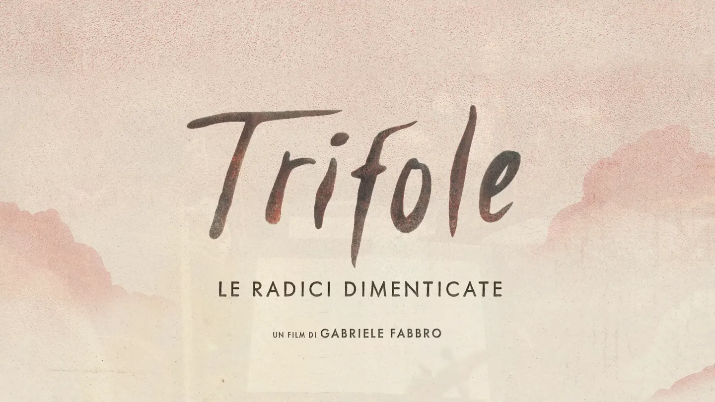 Trifole — immagine 6